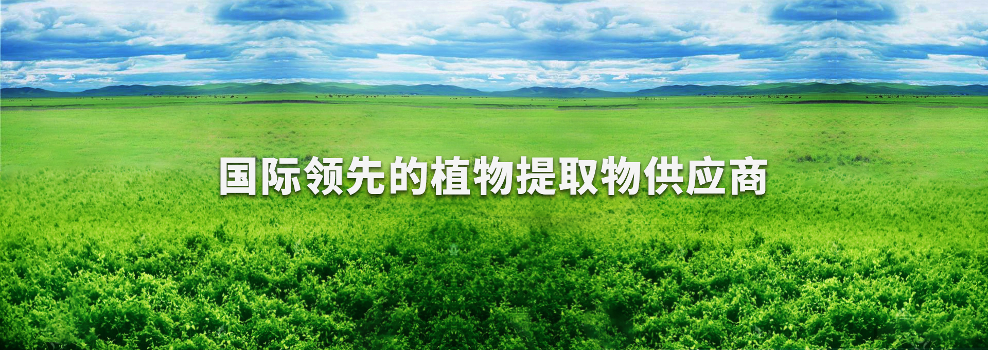 凯时首页·(中国区)官方网站